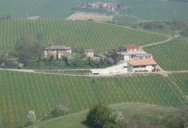 Bellisima Azienda vitivinicola area DOCG Classica Colli bolognesi