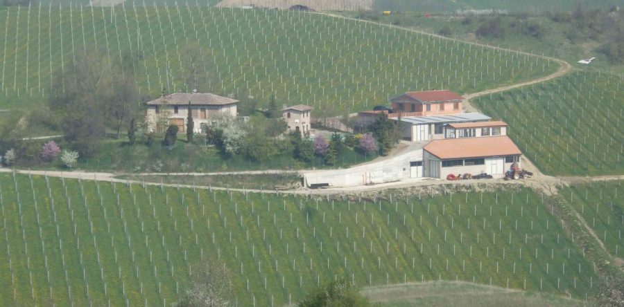 Azienda vitivinicola area DOCG Classica Colli Bolognesi bellisima