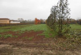 Candelù: nella campagna trevigiana terreno di circa 2,5 ettari di seminativo con capannone di circa 500 mq.