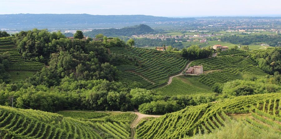 Colline di Valdobbiadene, nel cuore del prosecco superiore DOCG