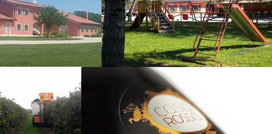 Vigneto di prosecco doc e pinot bianco con agriturismo e camere a Postioma