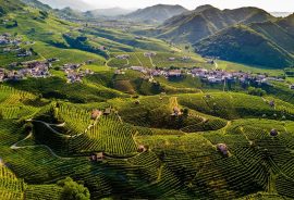 Bellissime tenute vitivinicole, cantine, vigne e terreni prosecco DOCG nelle Colline di Conegliano Valdobbiadene Patrimonio dell’Umanità Unesco