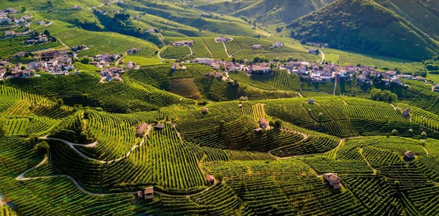 Bellissime tenute vitivinicole, cantine, vigne e terreni prosecco DOCG nelle Colline di Conegliano Valdobbiadene Patrimonio dell’Umanità Unesco