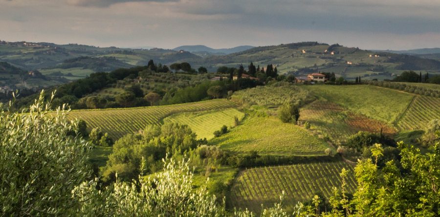 Prestigiose tenute agricole in Toscana e Umbria!