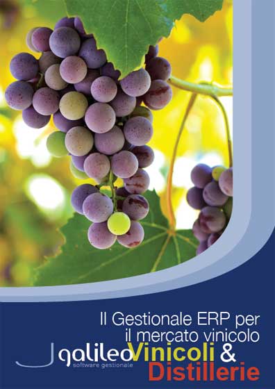 Il Gestionale ERP per il mercato vinicolo Vinicoli Distillerie Sanmarco Informatica-image