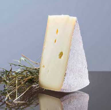 Formaggio Malga delle Dolomiti-image