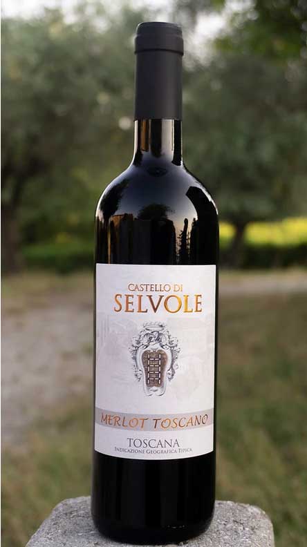 Merlot Toscano IGT Castello di Selvole-image