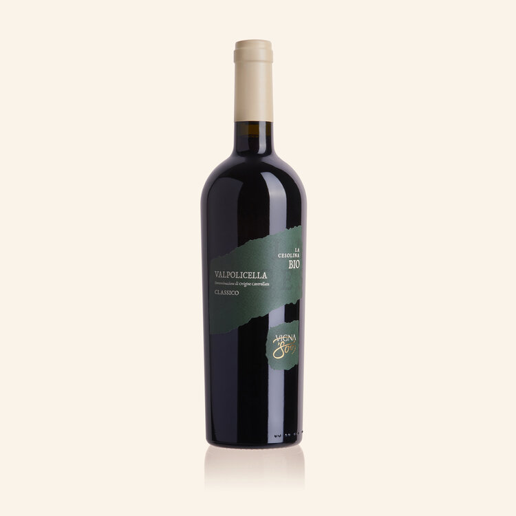 VALPOLICELLA DOC Classico Vigna 800-image