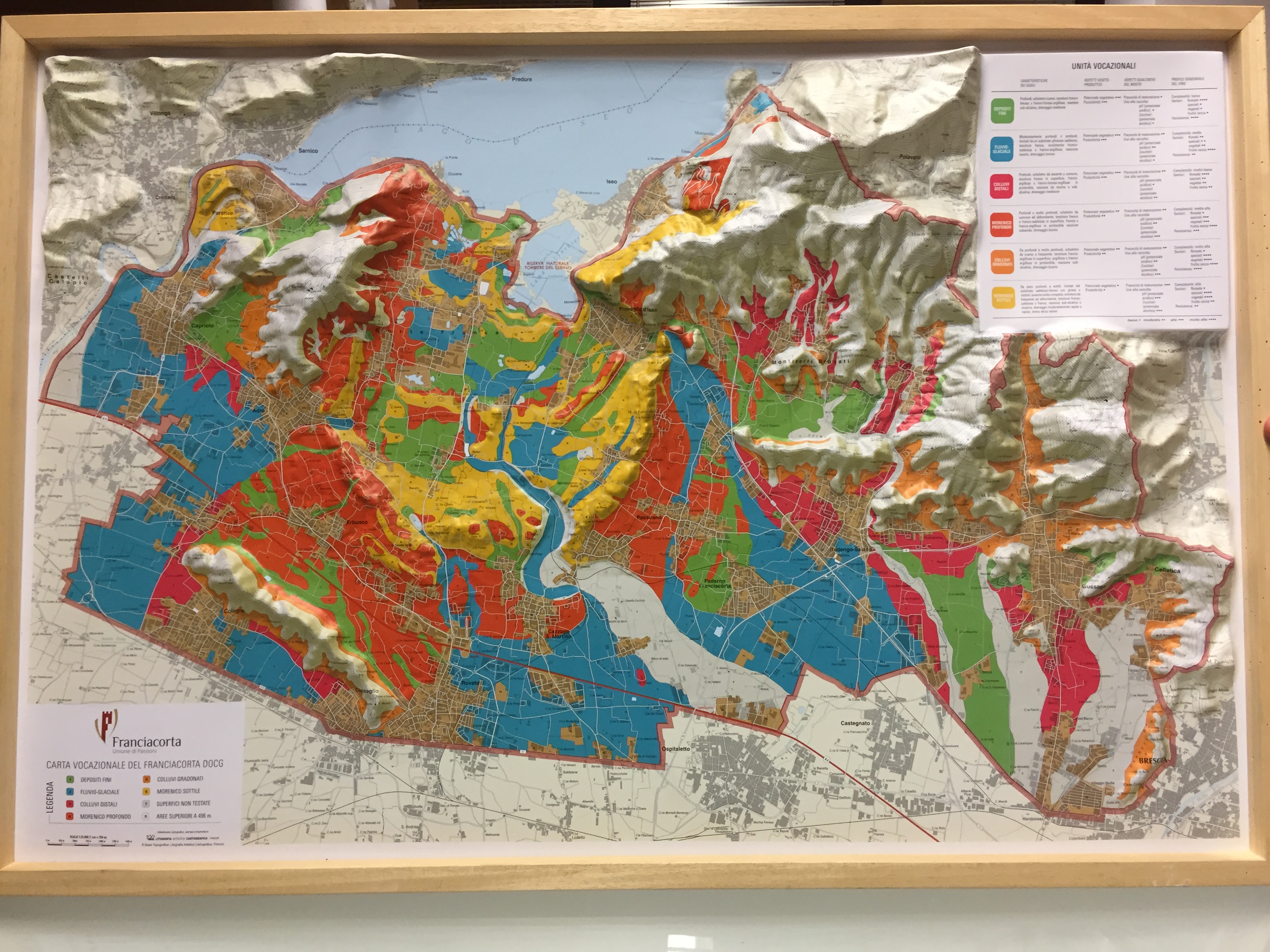 Global Map mappe cartografiche 3D delle zone del vino Italiano-image
