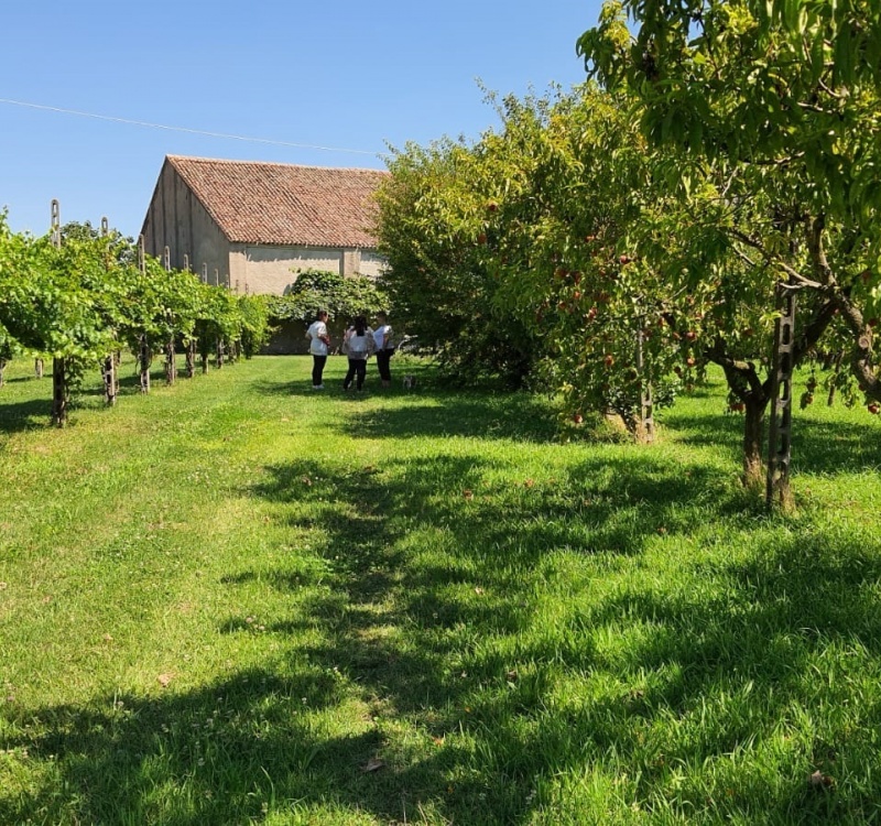 Vista dell'Azienda agricola frutteto e vigna