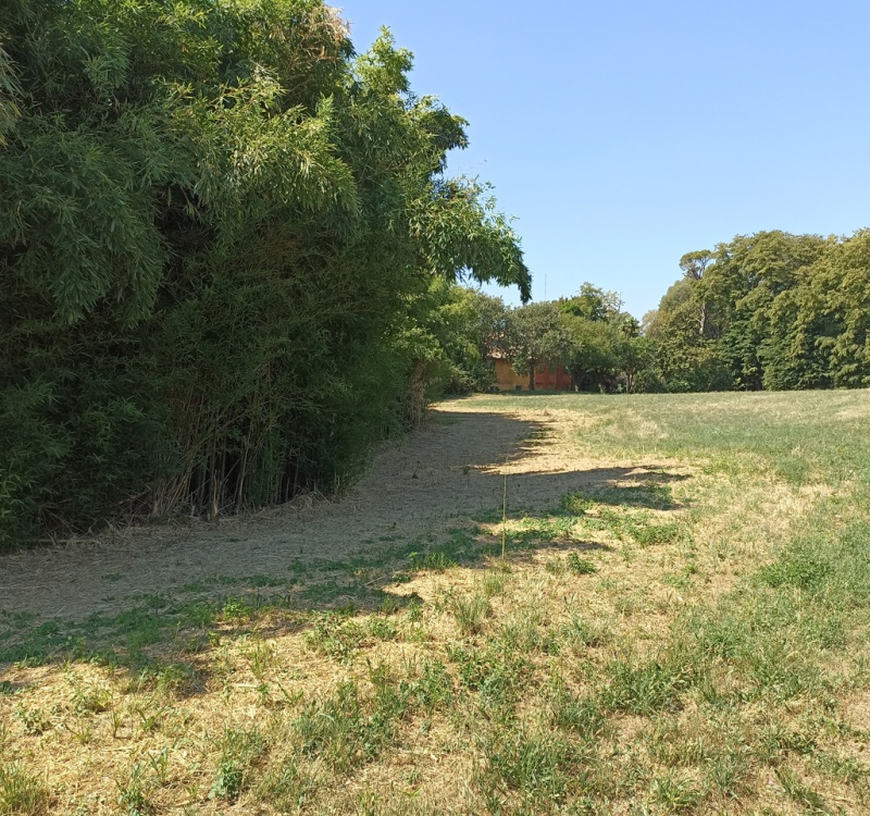 Asolo San Zenone degli Ezzelini, Treviso, Italia, 8 Stanze Stanze,3 BagnoBagno,Tenuta Agricola,Casali e Rustici,1093