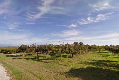 5 Via Roma, Oderzo, Italia, Italia 31046, 6 Bedrooms Bedrooms, ,5 BathroomsBathrooms,Tenuta Agricola,Tenute Agricole Vinicole,Via Roma,1009