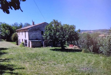 Osimo, Ancona, Italia, 3 Stanze da Letto Stanze da Letto, ,1 BagnoBagno,Rustico,Casali e Rustici,1112