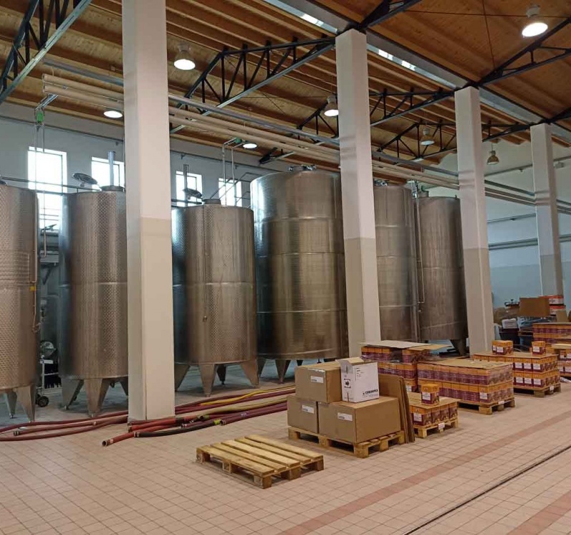 Portogruaro, Venezia, Italia, ,Cantina,Cantine e Vigne,1113