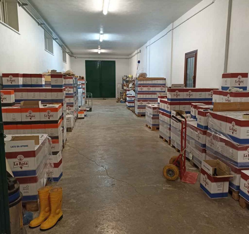 Portogruaro, Venezia, Italia, ,Cantina,Cantine e Vigne,1113