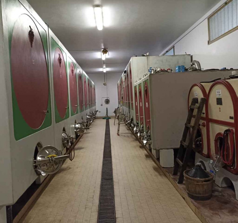 Portogruaro, Venezia, Italia, ,Cantina,Cantine e Vigne,1113