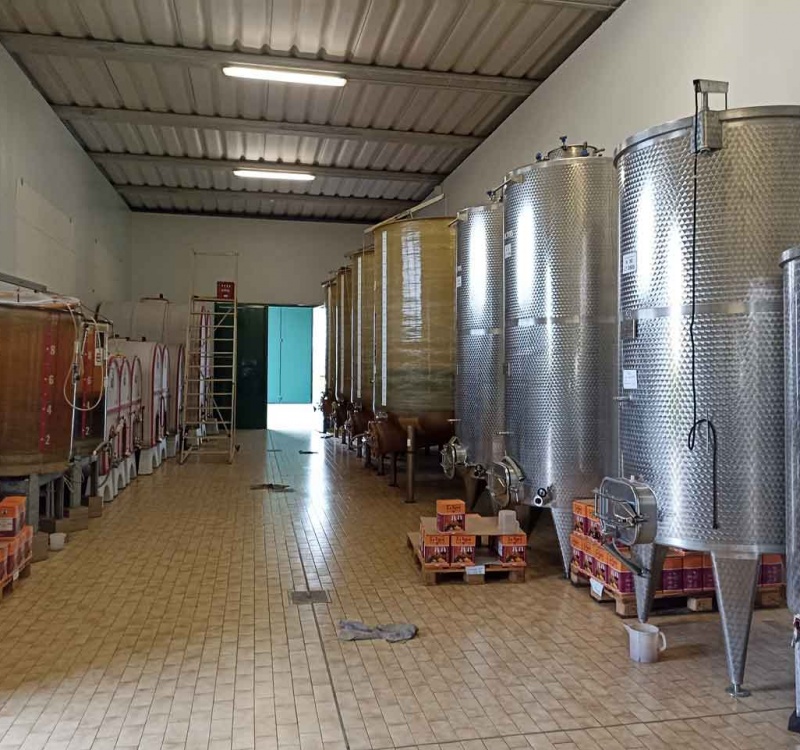 Portogruaro, Venezia, Italia, ,Cantina,Cantine e Vigne,1113