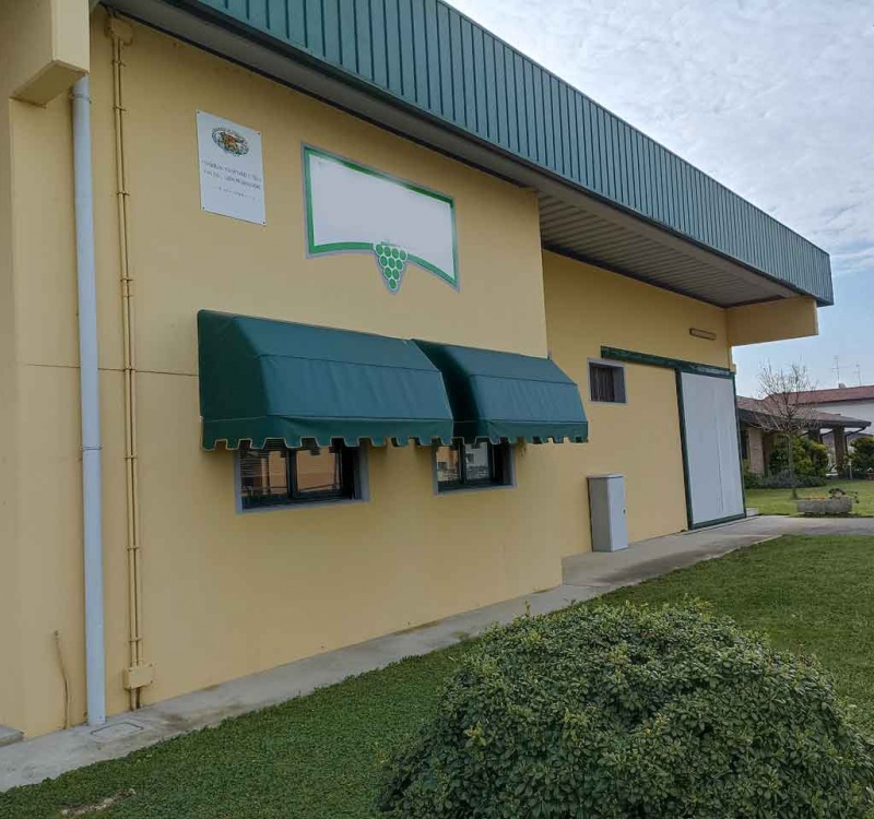 Portogruaro, Venezia, Italia, ,Cantina,Cantine e Vigne,1113