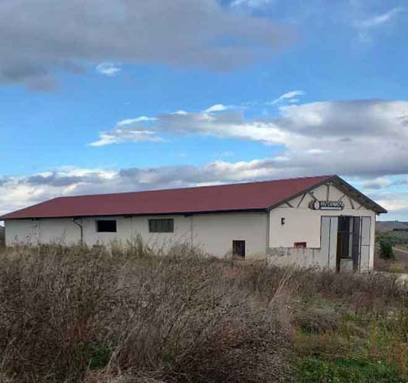 Venosa, Italia, ,Tenuta Agricola,Tenute Agricole Vinicole,1114