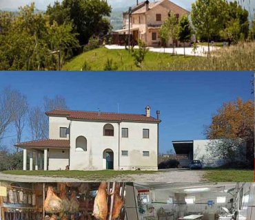 Petritoli, Ascoli Piceno, Italia, ,Tenuta Agricola,Agriturismo,1117