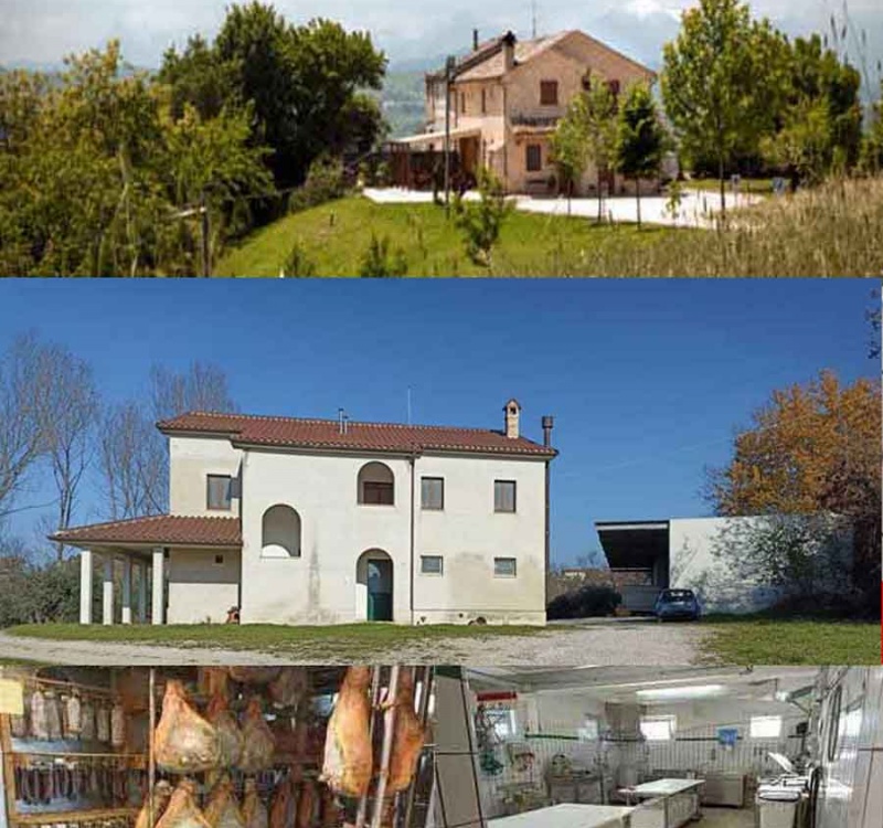 Petritoli, Ascoli Piceno, Italia, ,Tenuta Agricola,Agriturismo,1117