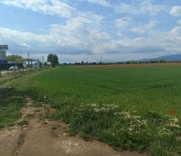 via Gardesane, Verona, Verona, Italia, ,Terreno,Terreni Agricoli,via Gardesane,1118