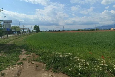 via Gardesane, Verona, Verona, Italia, ,Terreno,Terreni Agricoli,via Gardesane,1118