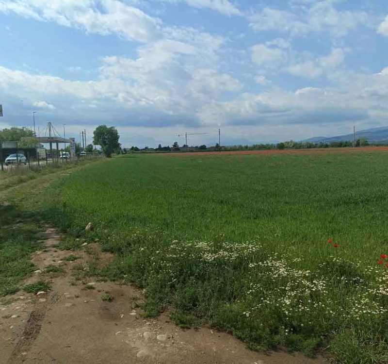 via Gardesane, Verona, Verona, Italia, ,Terreno,Terreni Agricoli,via Gardesane,1118