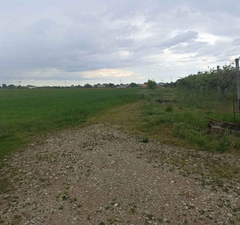 via Gardesane, Verona, Verona, Italia, ,Terreno,Terreni Agricoli,via Gardesane,1118