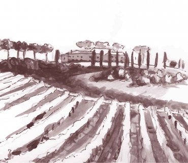 SIena, Italia, ,Tenuta Agricola,Tenute Agricole Vinicole,1122