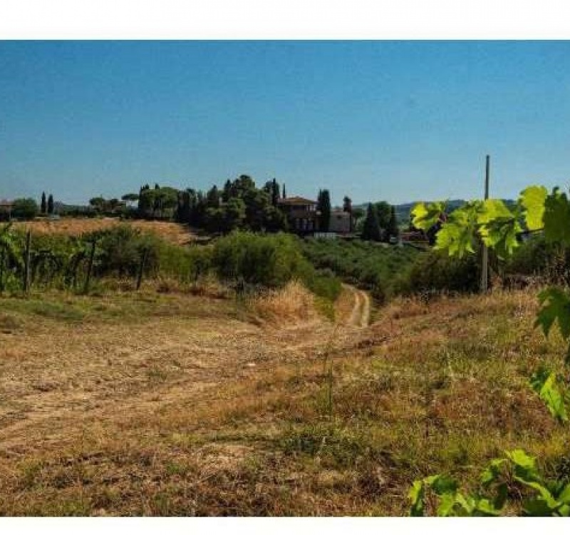 SIena, Italia, ,Tenuta Agricola,Tenute Agricole Vinicole,1122