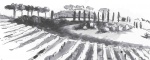 Mortegliano, Udine, Italia, ,Tenuta Agricola,Tenute Agricole Vinicole,1123