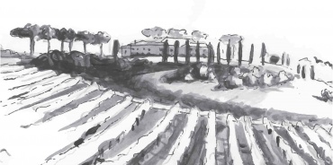 Mortegliano, Udine, Italia, ,Tenuta Agricola,Tenute Agricole Vinicole,1123