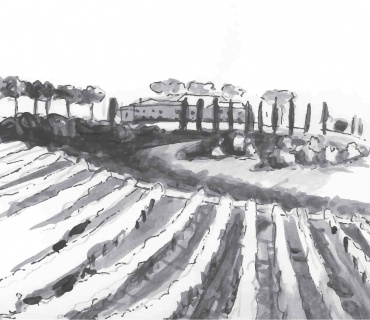 Mortegliano, Udine, Italia, ,Tenuta Agricola,Tenute Agricole Vinicole,1123