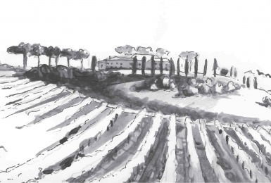 Mortegliano, Udine, Italia, ,Tenuta Agricola,Tenute Agricole Vinicole,1123
