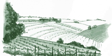 vicino Montalcino, Grosseto, Italia, ,Tenuta Agricola,Cantine e Vigne,1124