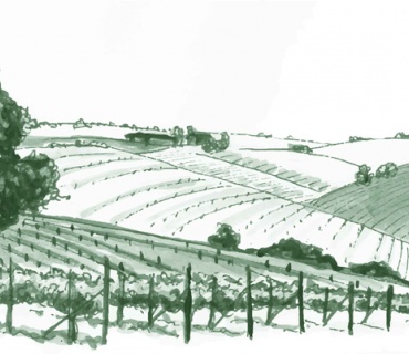 vicino Montalcino, Grosseto, Italia, ,Tenuta Agricola,Cantine e Vigne,1124