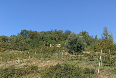 Refrontolo-Tarzo, Treviso, Italia, ,Tenuta Agricola,Casali e Rustici,1125