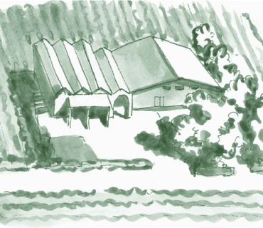 Portogruaro, Venezia, Italia, ,Tenuta Agricola,Cantine e Vigne,1126