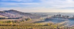 Gorizia - Udine, Friuli Venezia Giulia, Italia, ,Tenuta Agricola,Cantine e Vigne,1128
