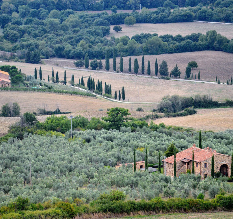 Firenze-Siena, Toscana, Italia, ,Tenuta Agricola,Tenute Agricole Vinicole,1129