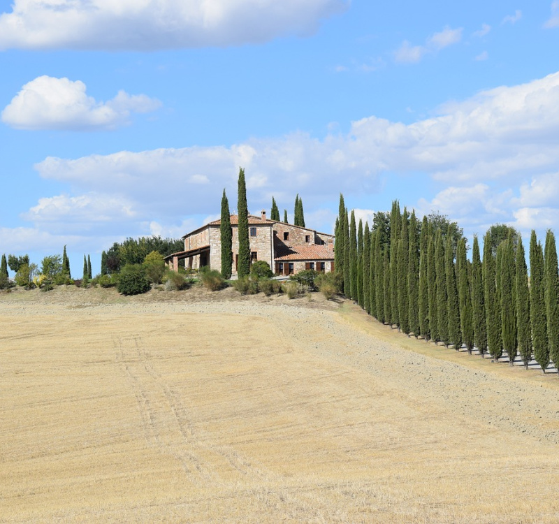 Firenze-Siena, Toscana, Italia, ,Tenuta Agricola,Tenute Agricole Vinicole,1129