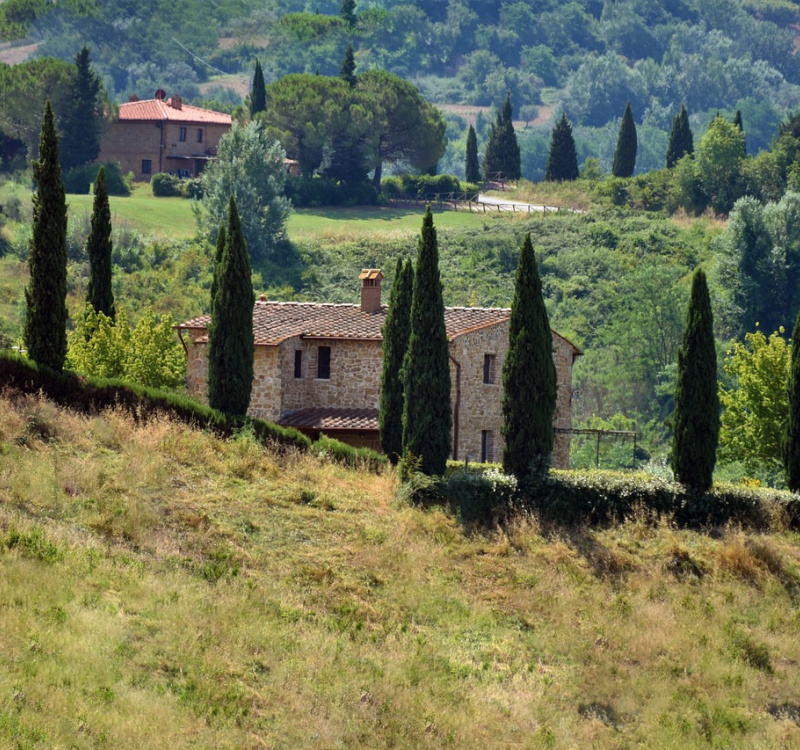 Firenze-Siena, Toscana, Italia, ,Tenuta Agricola,Tenute Agricole Vinicole,1129