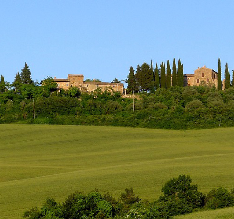 Firenze-Siena, Toscana, Italia, ,Tenuta Agricola,Tenute Agricole Vinicole,1129