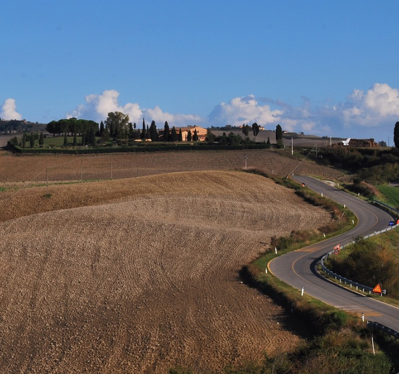 Firenze-Siena, Toscana, Italia, ,Tenuta Agricola,Tenute Agricole Vinicole,1129