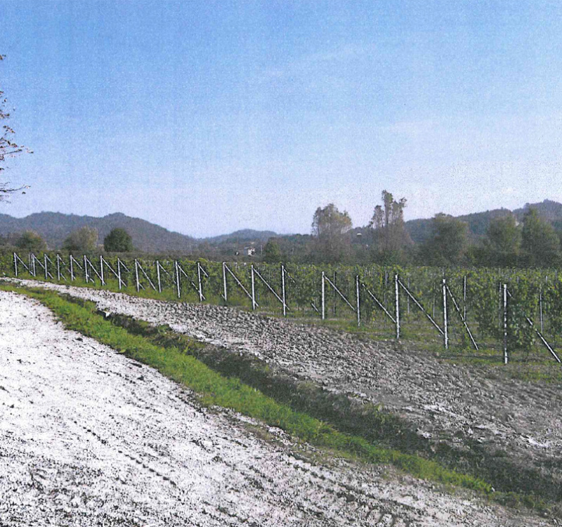 Gavi, Alessandria, Italia, 10 Stanze Stanze,5 BagnoBagno,Tenuta Agricola,Tenute Agricole Vinicole,1130