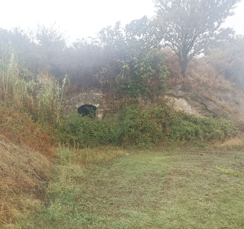 Rionero in Vulture, Potenza, Italia, ,Tenuta Agricola,Cantine e Vigne,1131