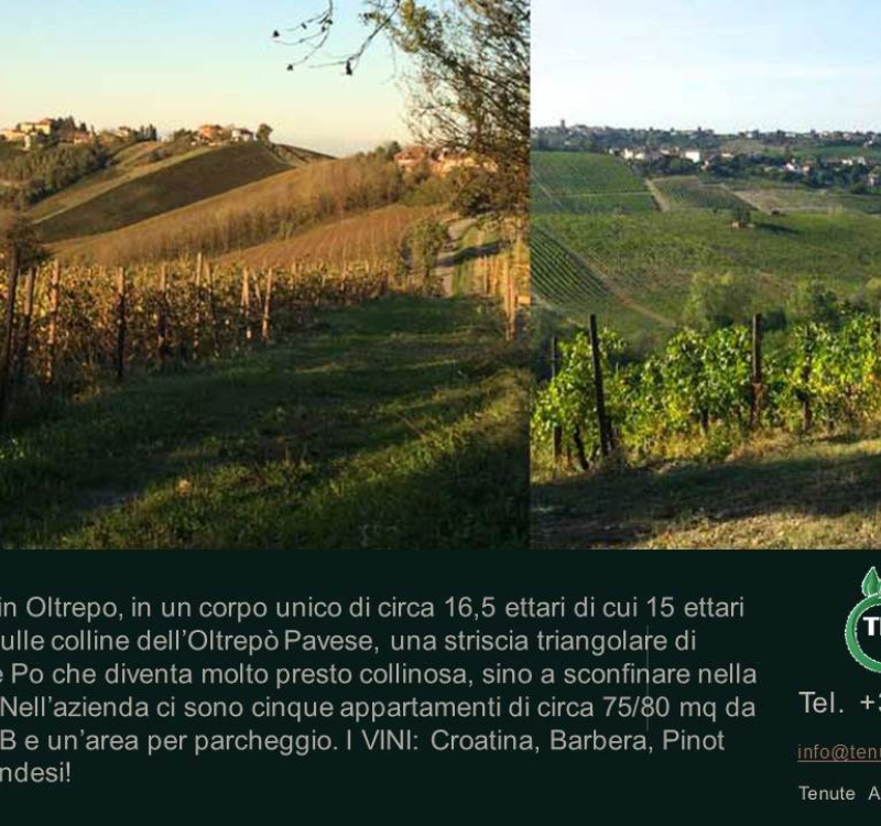 Rovescala, Pavia, Italia, ,Tenuta Agricola,Cantine e Vigne,1132