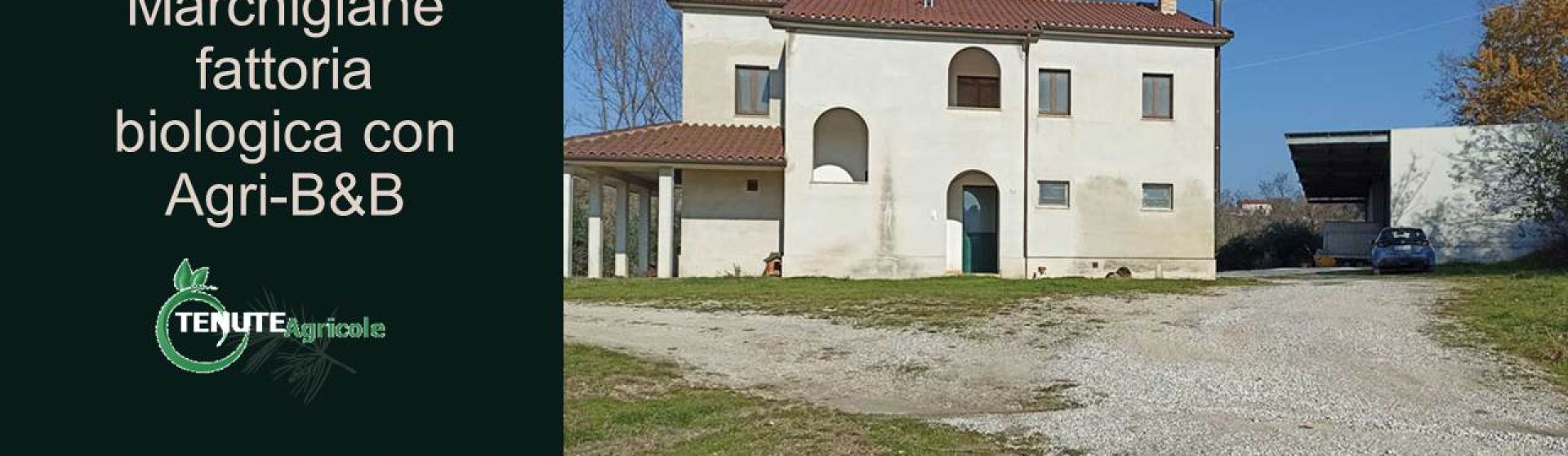 Petritoli, Ascoli Piceno, Italia, 21 Stanze Stanze,9 BagnoBagno,Tenuta Agricola,Agriturismo,1133