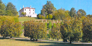 Fonte di Onè Asolo, Treviso, Italia, 6 Stanze Stanze,8 BagnoBagno,Tenuta Agricola,Tenute Agricole Vinicole,1137